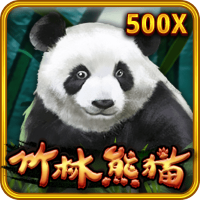 秘林熊貓