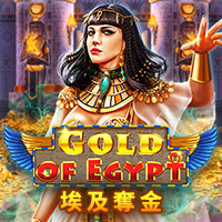 埃及奪金